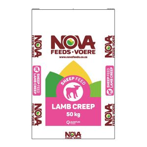 Lamb Creep