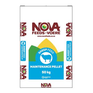 Sheep Feed: Maintenance