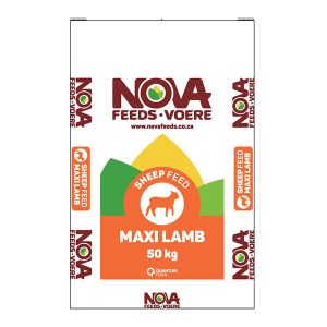 Maxi Lamb